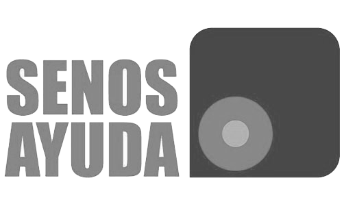 Icono 17